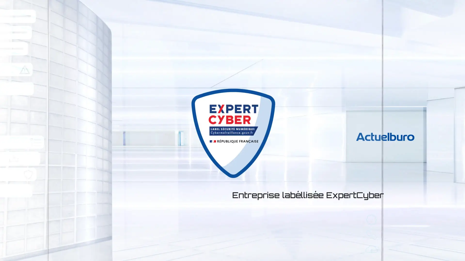 expert-cyber